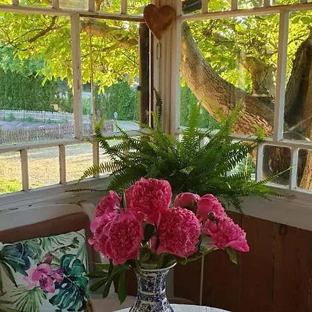 Farm stay Zulawska